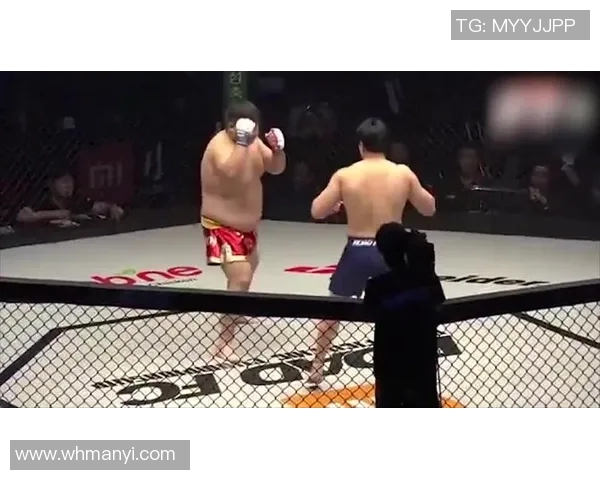 敖日格勒与金在勋巅峰对决精彩瞬间回顾与赛后分析 敖日格勒与金在勋巅峰对决精彩瞬间回顾与赛后分析